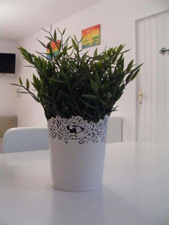 Apartment Fortuna *
